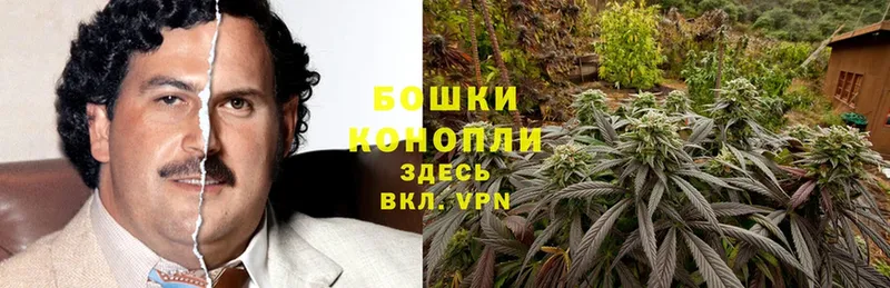 Бошки Шишки Ganja  hydra как войти  Кинешма 